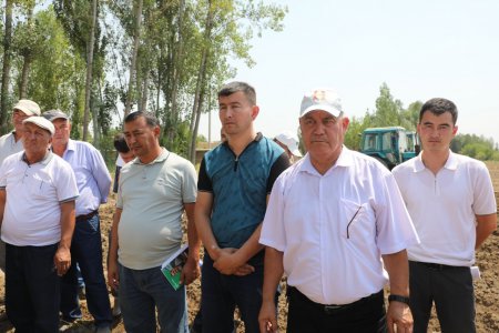 Chiroqchida g‘alladan bo‘shagan maydonlarda takroriy ekin yetishtirilmoqda